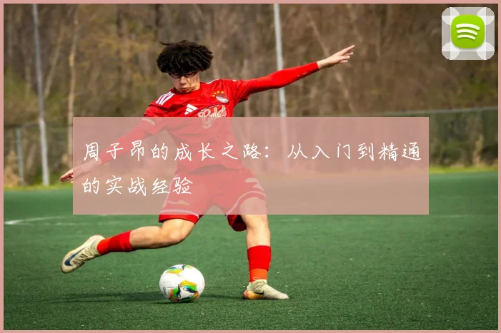 周子昂的成长之路：从入门到精通的实战经验