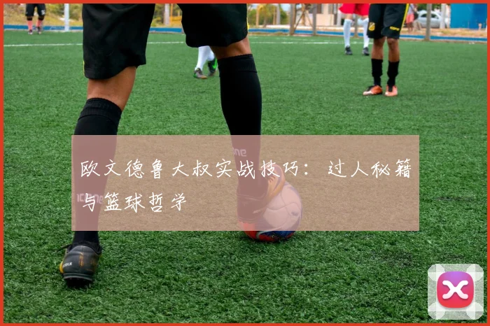 欧文德鲁大叔实战技巧：过人秘籍与篮球哲学