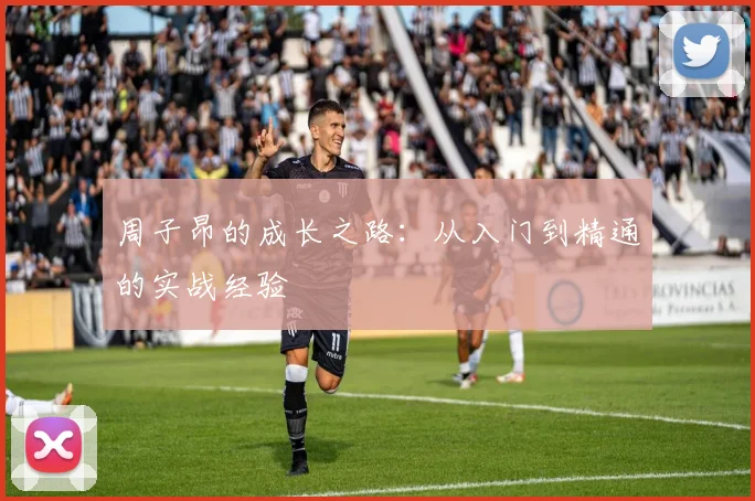 周子昂的成长之路：从入门到精通的实战经验